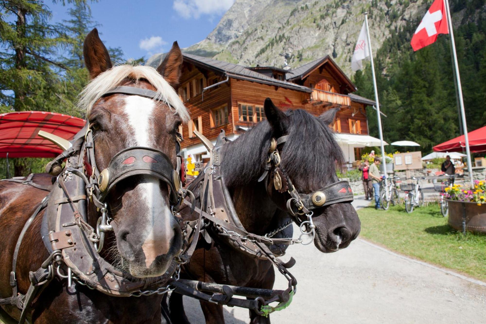 Gasthaus Spinas Bever Buitenkant foto